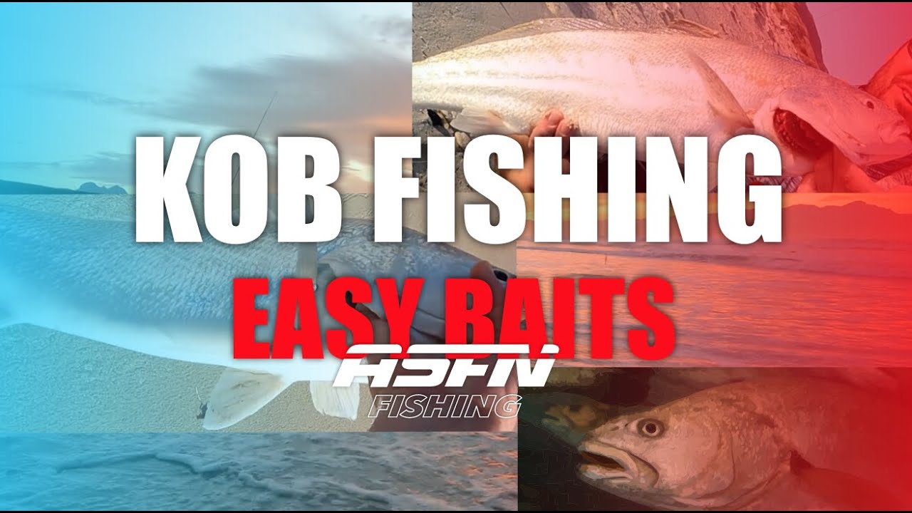 KOB FISHING | Catching lots of Mulloway/KOB using simple baits |  ASFN Rock & Surf  ​