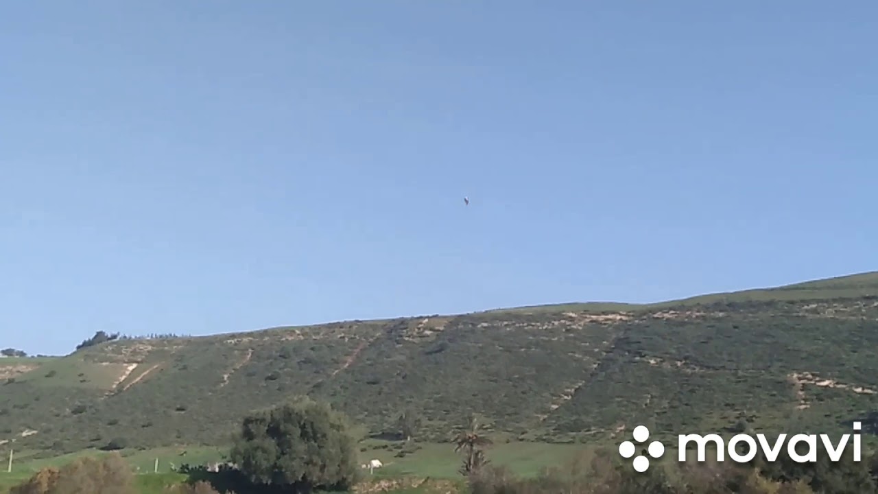 العيطة الزعرية وطبيعة ازعير