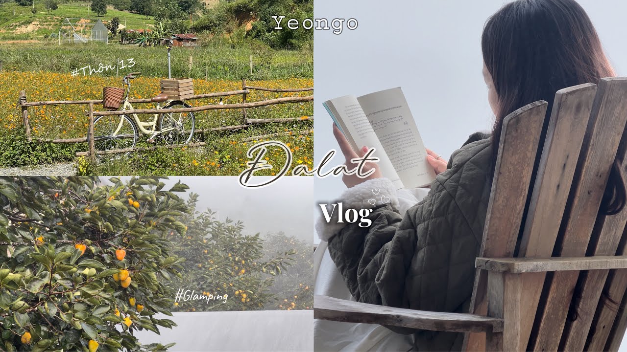 ĐÀ LẠT Vlog 🍂| Mùa hồng đà lạt | Glamping | Nắng thuỷ tinh | Thôn 13 | Vietnam Travel | Yeongo