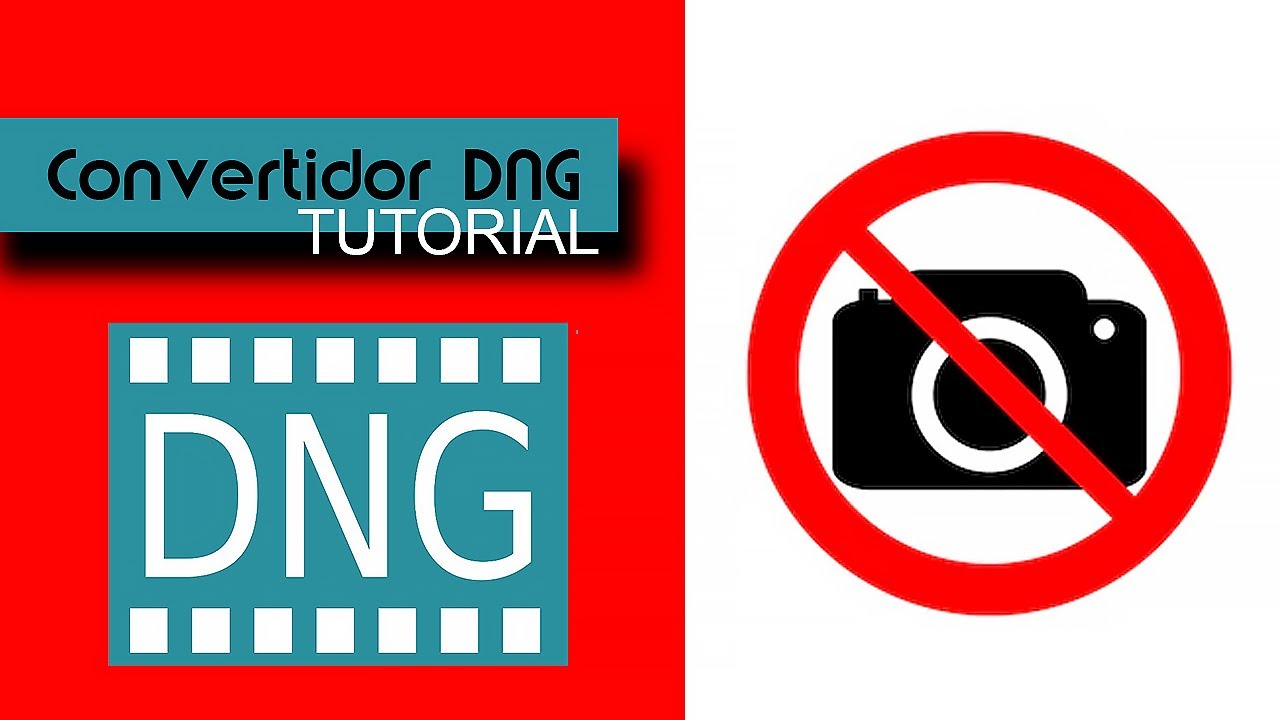 No abre la foto RAW en mi Photoshop. - Convertidor DNG fácil y GRATIS -