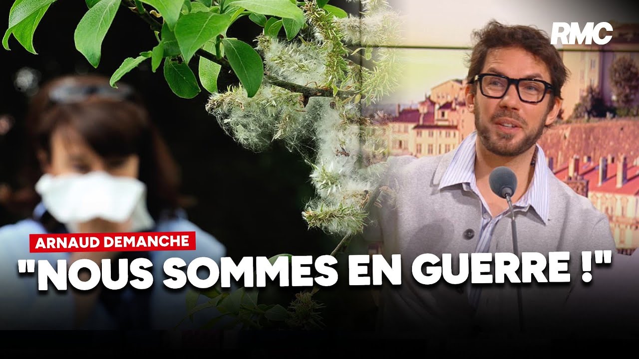 Le retour du pollen... en avance !