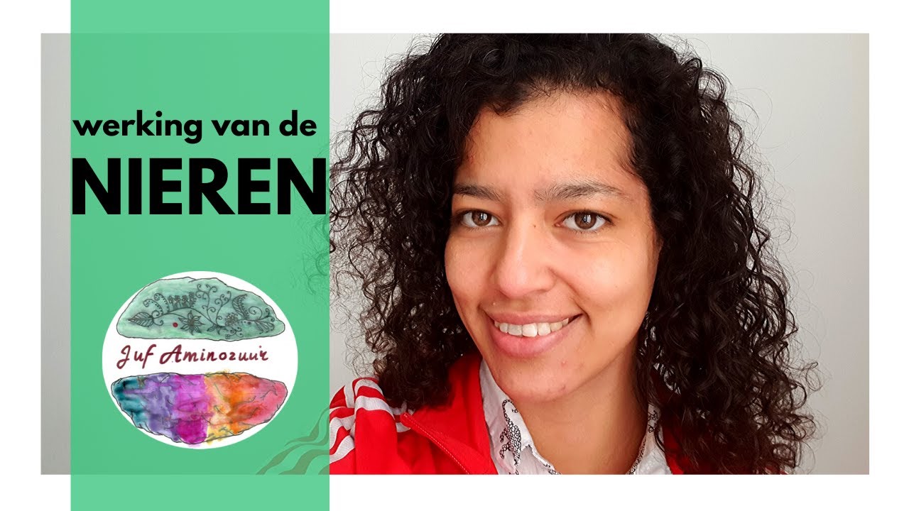 Werking van de nieren (HAVO en VWO)