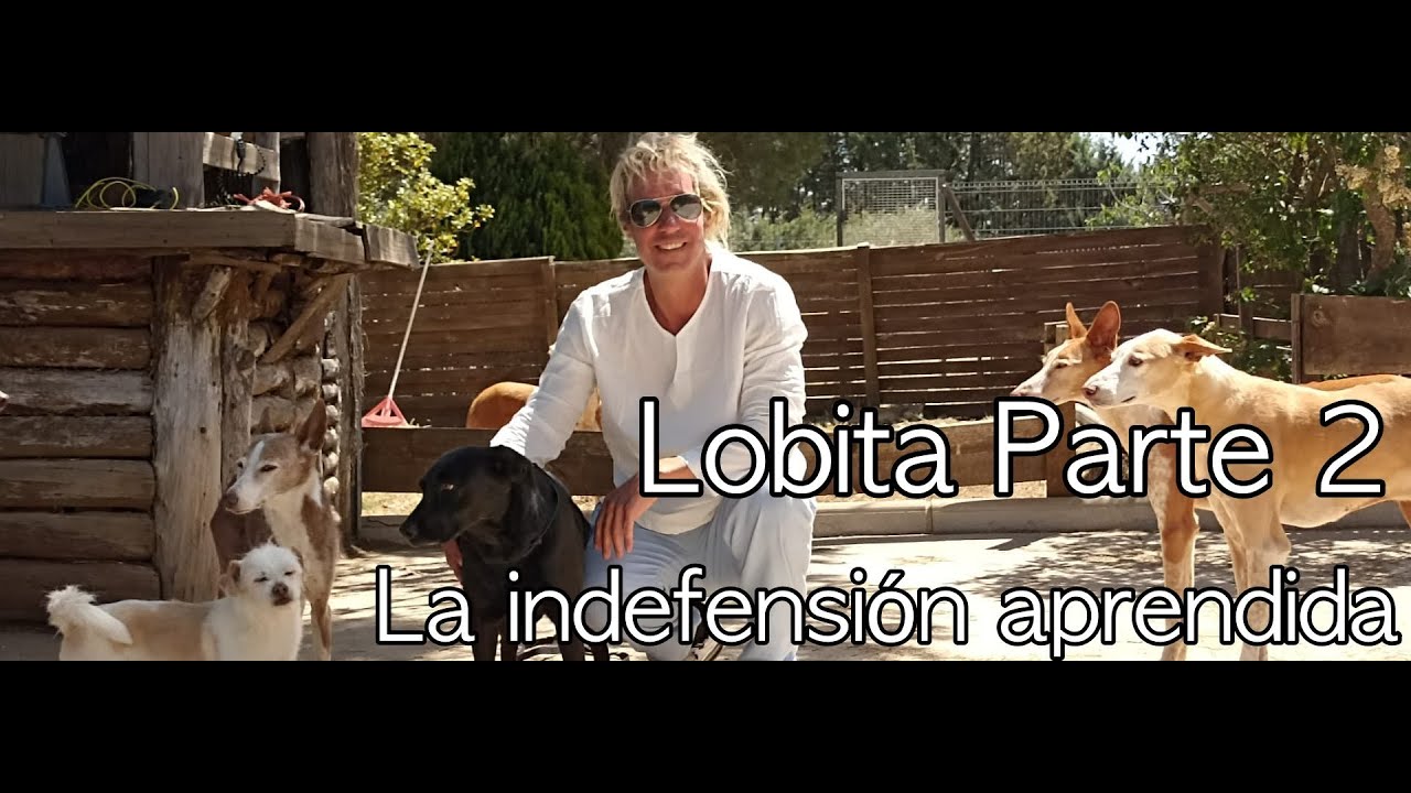 Lobita la perra con miedo