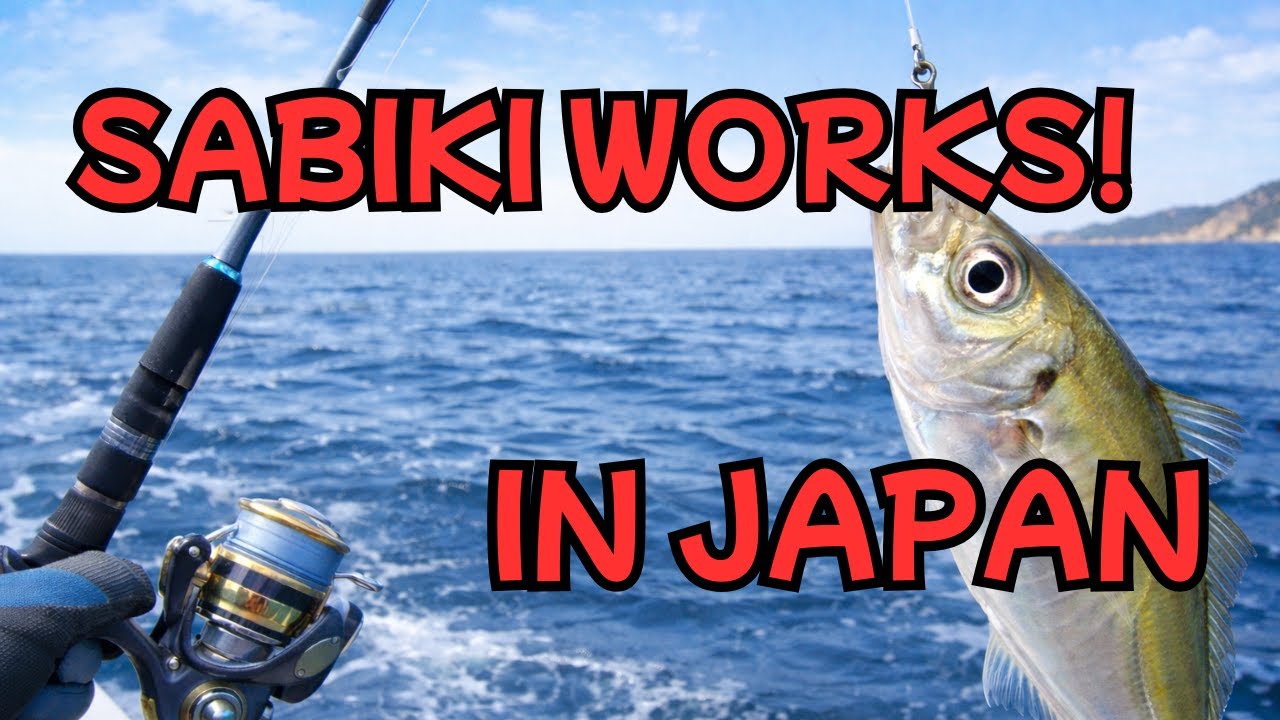 Easy Horse Mackerel Fishing at Sunrise | Float & Sabiki Fishing in Japan.