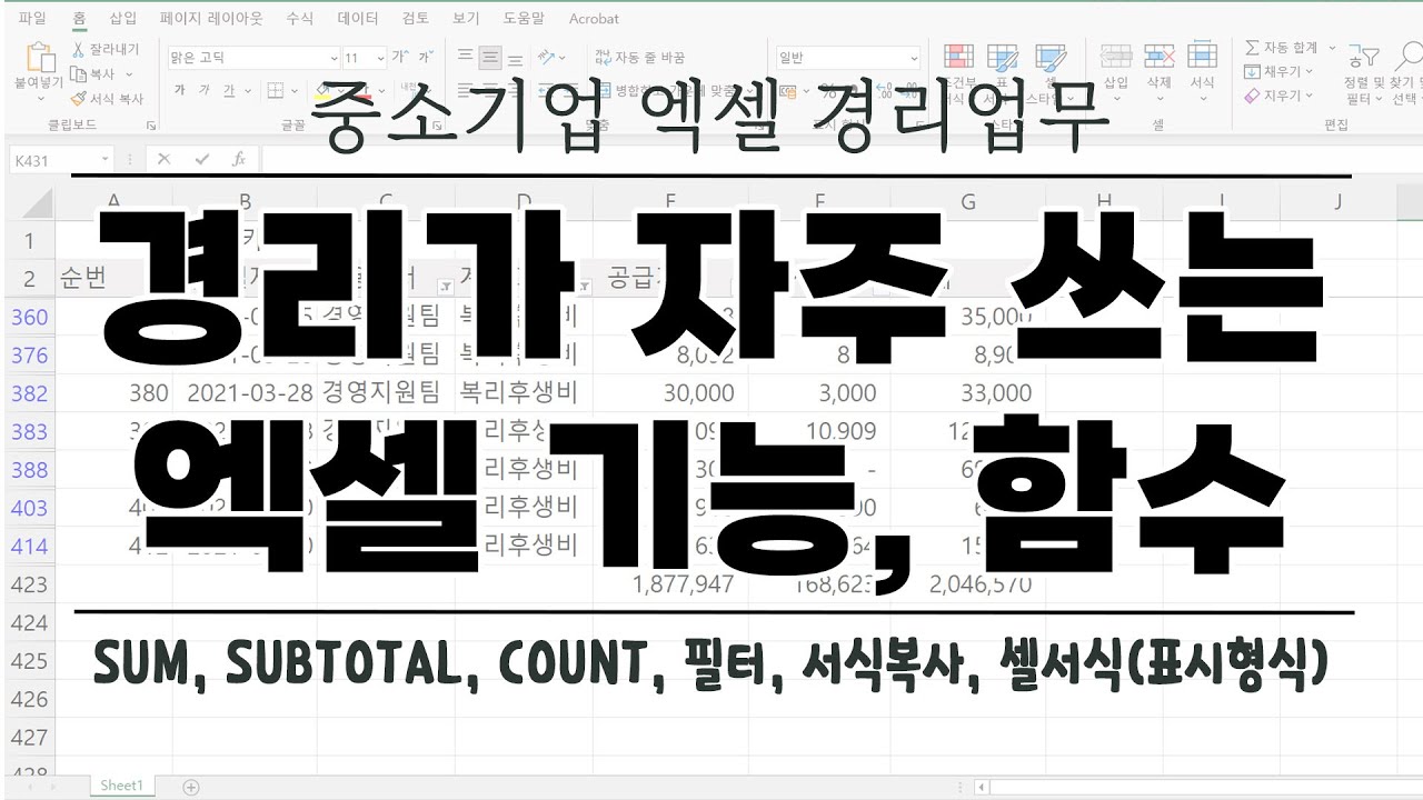 [경리업무] 중소기업 경리가 자주 쓰는 엑셀 함수, 기능 / SUM, SUBTOTAL, COUNT, 필터, 서식복사, 셀서식