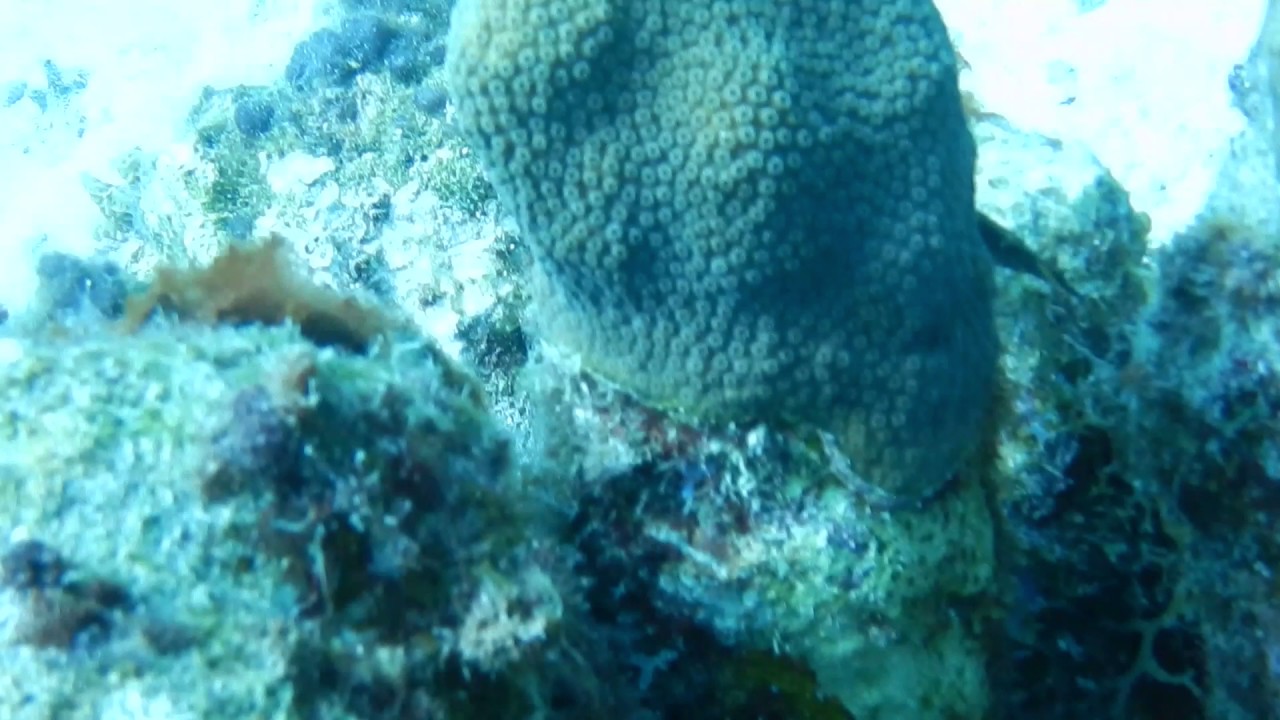 DSCN1527