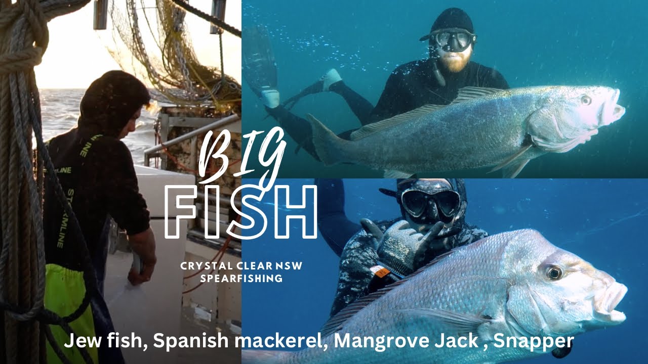 SPEARFISHING NSW JEW FISH, SNAPPER & SPANISH MACKEREL crystal clear after work on a PRAWN TRAWLER!