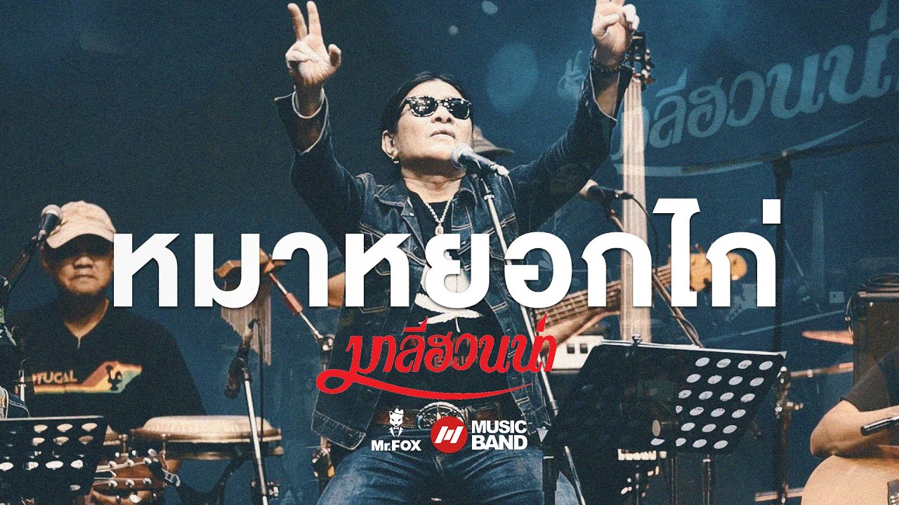หมาหยอกไก่ - มาลีฮวนน่า ยรร โฟล์ค Exclusive Acoustic Concert #2 |  Mr.FOX Live House