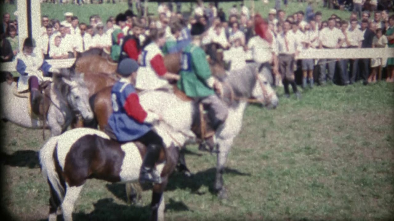 Bauernpferde- und Ponyrennen Aesch
