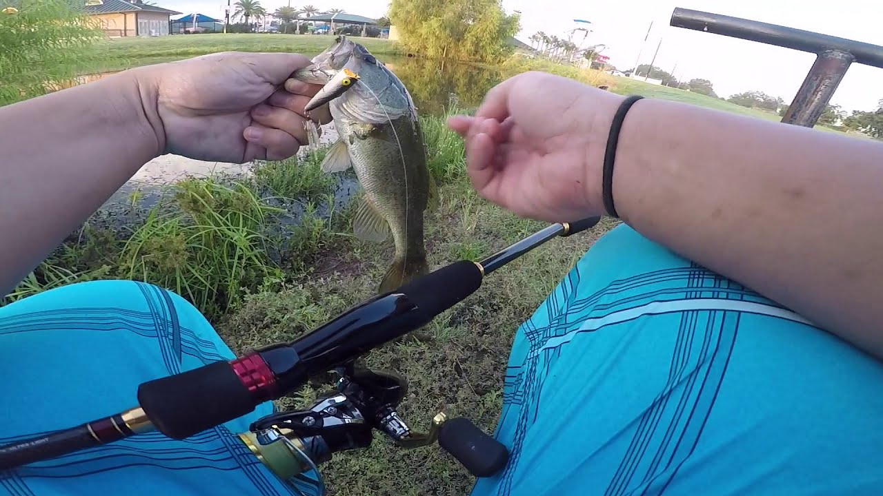 Fishing Retention Pond for Largemouth Bass With Small Popper Rebel Teeny Pop-R