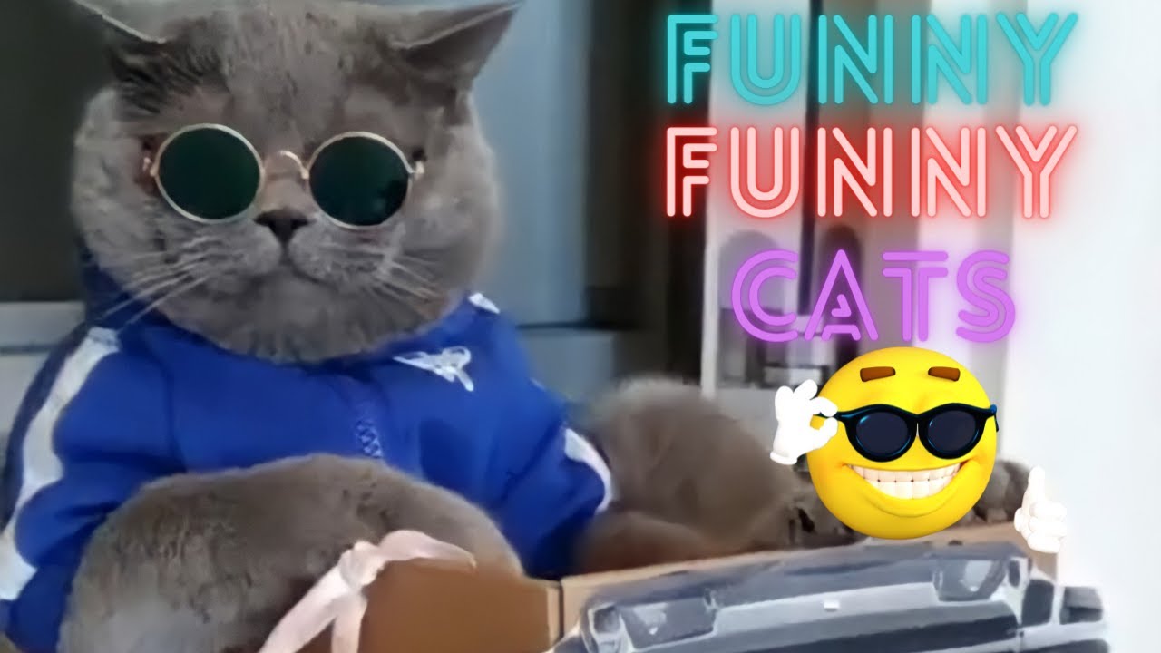Funny Cat Moments 😹 | Cutest Kittens Doing Silly Things 2025