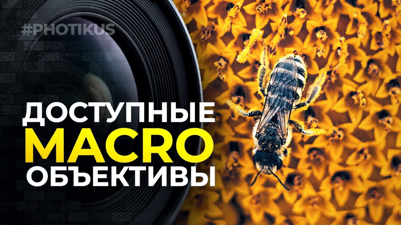 Качественное макро на Бюджетные объективы // PHOTIKUS