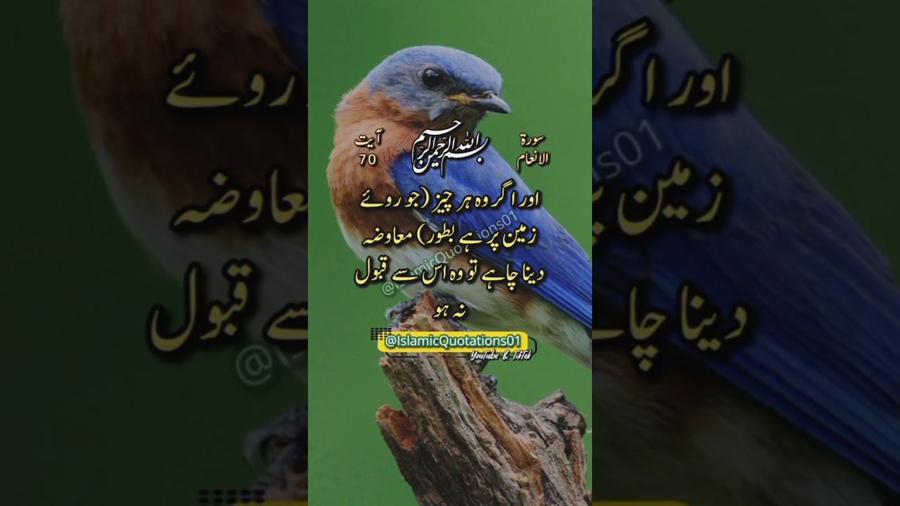 Surah Al anaam 