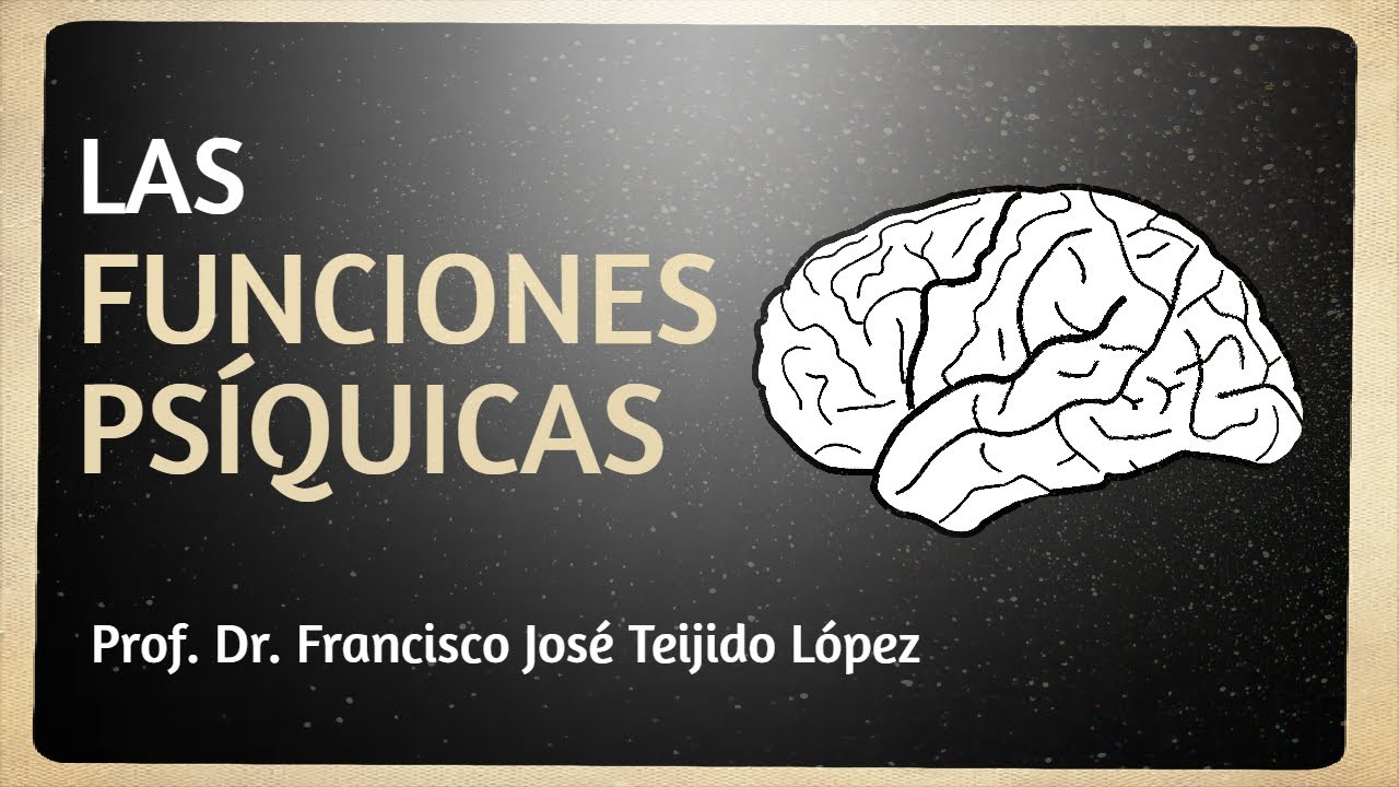 Lecciones de Anatomia y Fisiología: Funciones psíquicas (ANA_SN_02)