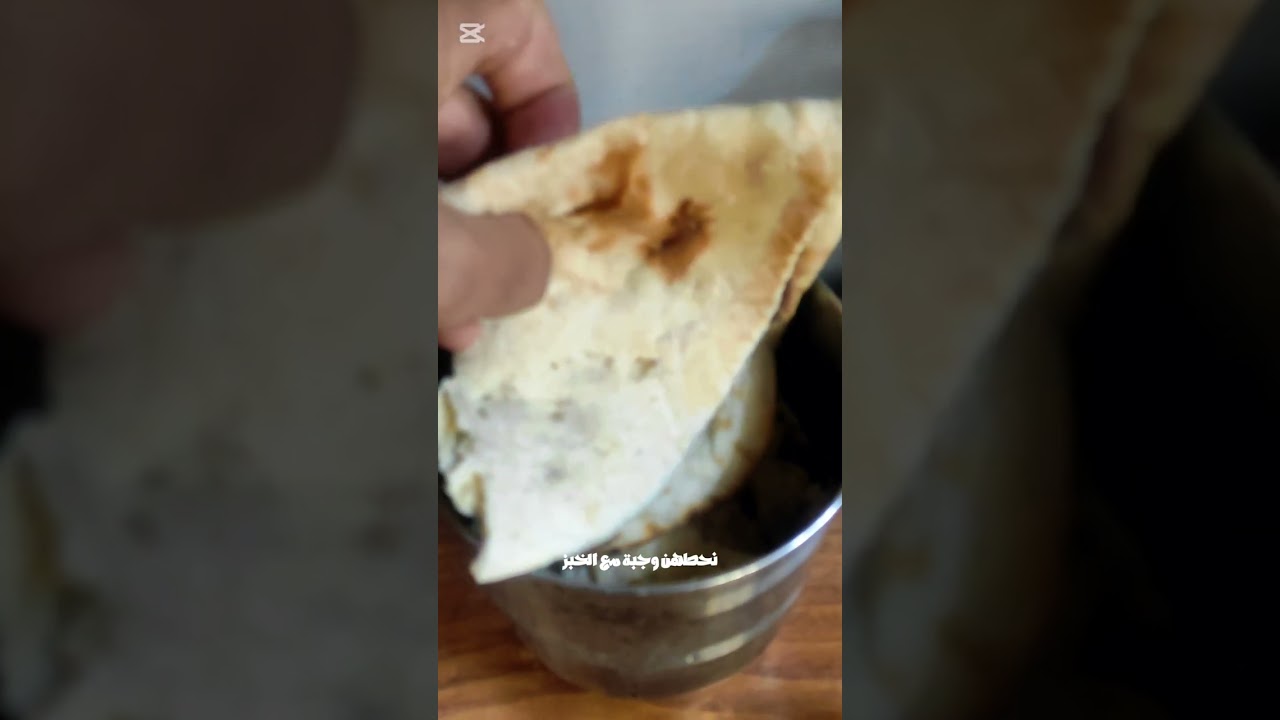 اكثر حيوان تحبونه 🐦