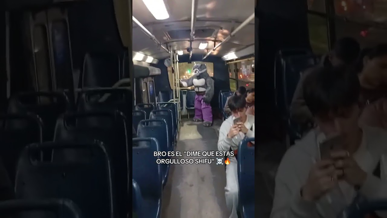 #humor #memes #kungfupanda #disfraz #parodia #bus #latam #peru #botarga #tailung #peliculas #audios