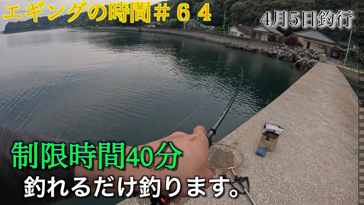 エギングの時間＃ 64　制限時間40分釣れるだけ釣ります。春エギング！4月5日釣行