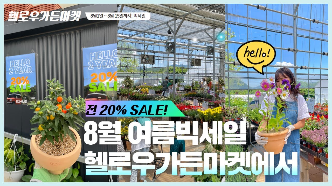 모든식물과 화분이 20%SALE💙다시 돌아온 헬로우가든마켓 여름 빅세일! /빈티지 엔틱화분균일가/ 다양한 이벤트들이 팡팡!! 고양식물마켓