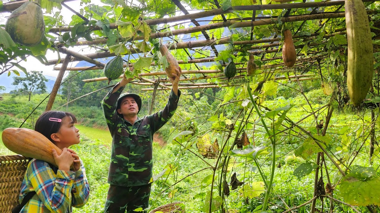 Father and daughter harvest pumpkins and then have dinner together with stuffed bamboo shoots.