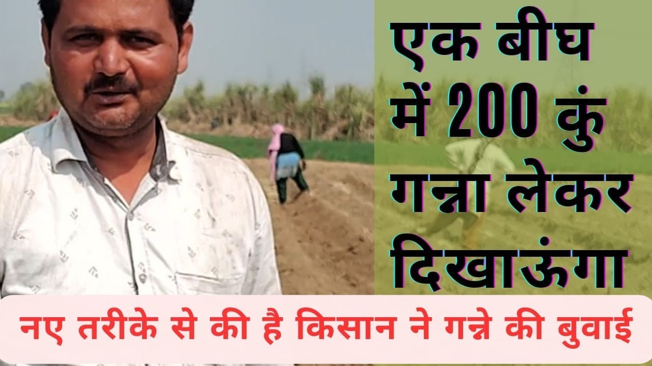 गन्ना बुवाई का नया तरीका अपनाया ||1 बीघे में 200 कुं गन्ना लेकर दिखाऊंगा @KrishikiBaat