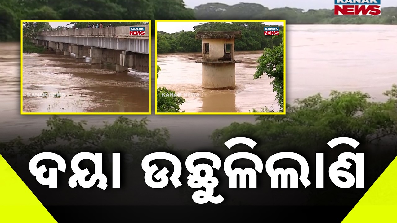 Flood Alert! Daya River Overflows with Massive Water, Shocking Visuals Emerge from Odisha