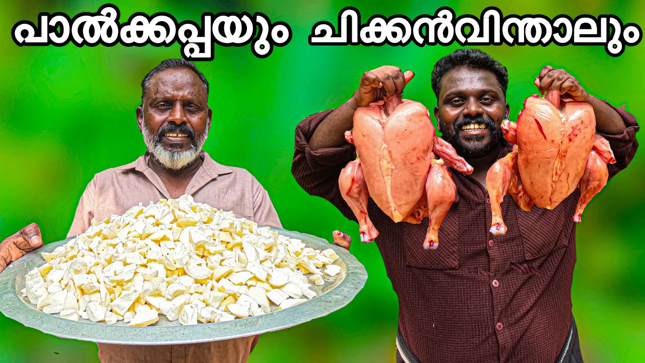 പാൽക്കപ്പയും ചിക്കൻവിന്താലും 🐔🤤  #kdcompany #paalkappa #chikkanvindalu
