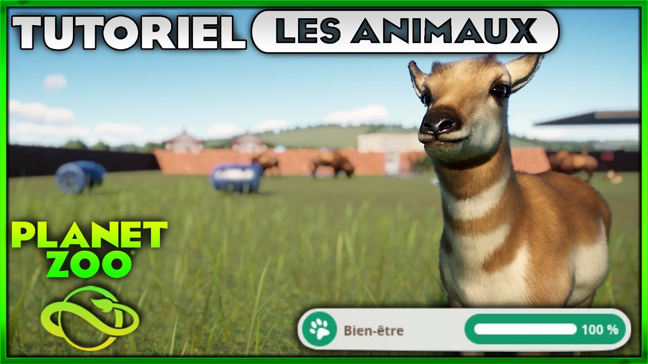 AVOIR FACILEMENT le BIEN-ÊTRE des ANIMAUX à 100%  - TUTORIEL PLANET ZOO