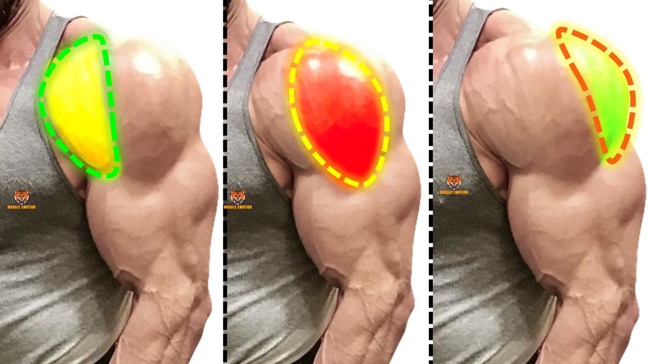 TOP 4 REAR DELTOID / LATERAL DELTOID / FRONT DELTOID WORKOUT WITH DUMBBELLS BARBELL CABLE AT GYM