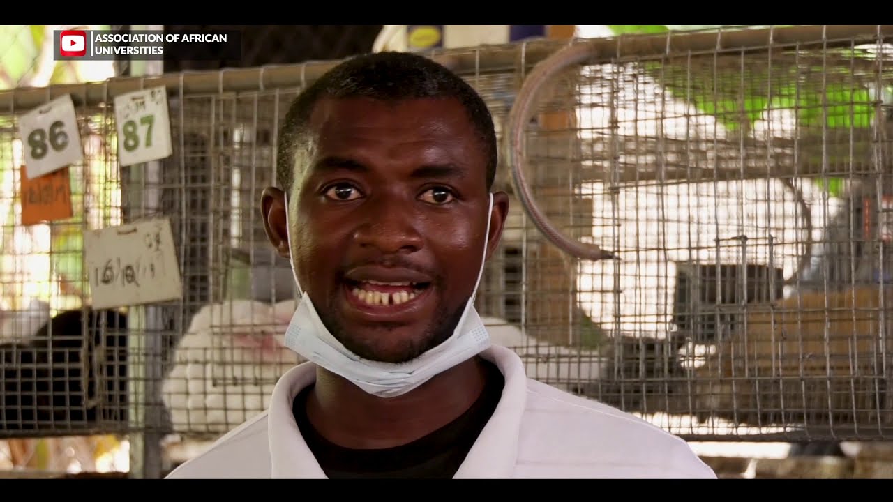 AgroLink - How Lucrative is the Rabbit Farming Industry?
