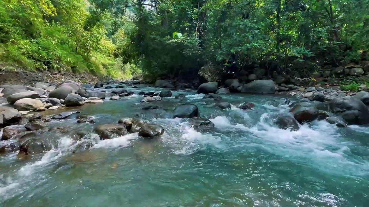 Relaxing River Sounds for Focus, Studying & A Peaceful Home 🌿 Relaxing Sleep Calming Anxiety
