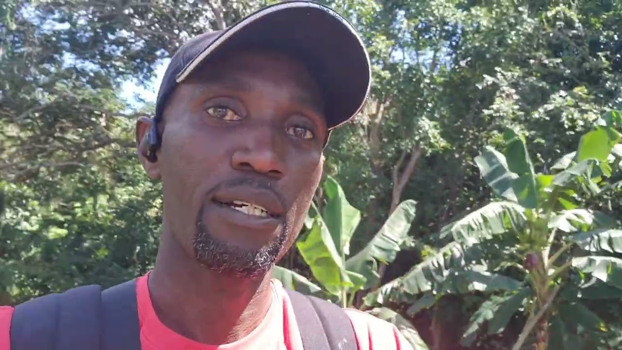 По пути из Портленда в Сент-Элизабет и Ден я собираюсь в Кингтаун, чтобы посмотреть вакансию 1876...