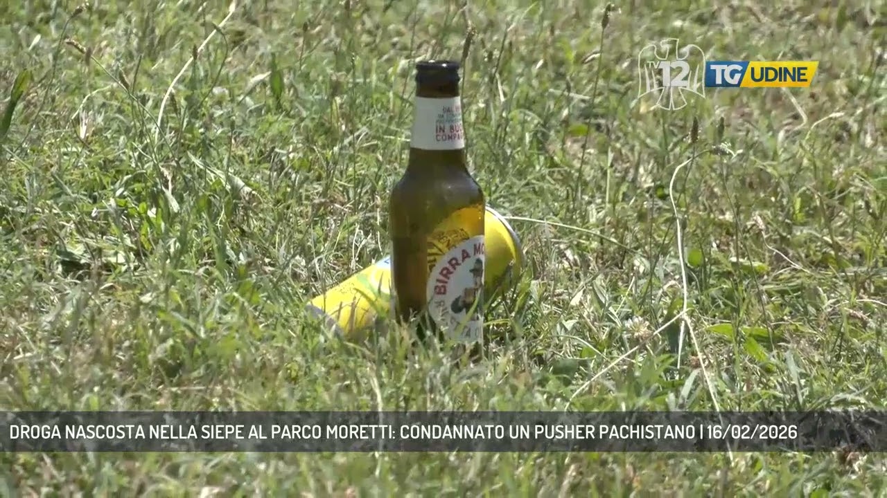 DROGA NASCOSTA NELLA SIEPE AL PARCO MORETTI: CONDANNATO UN PUSHER PACHISTANO | 16/02/2026