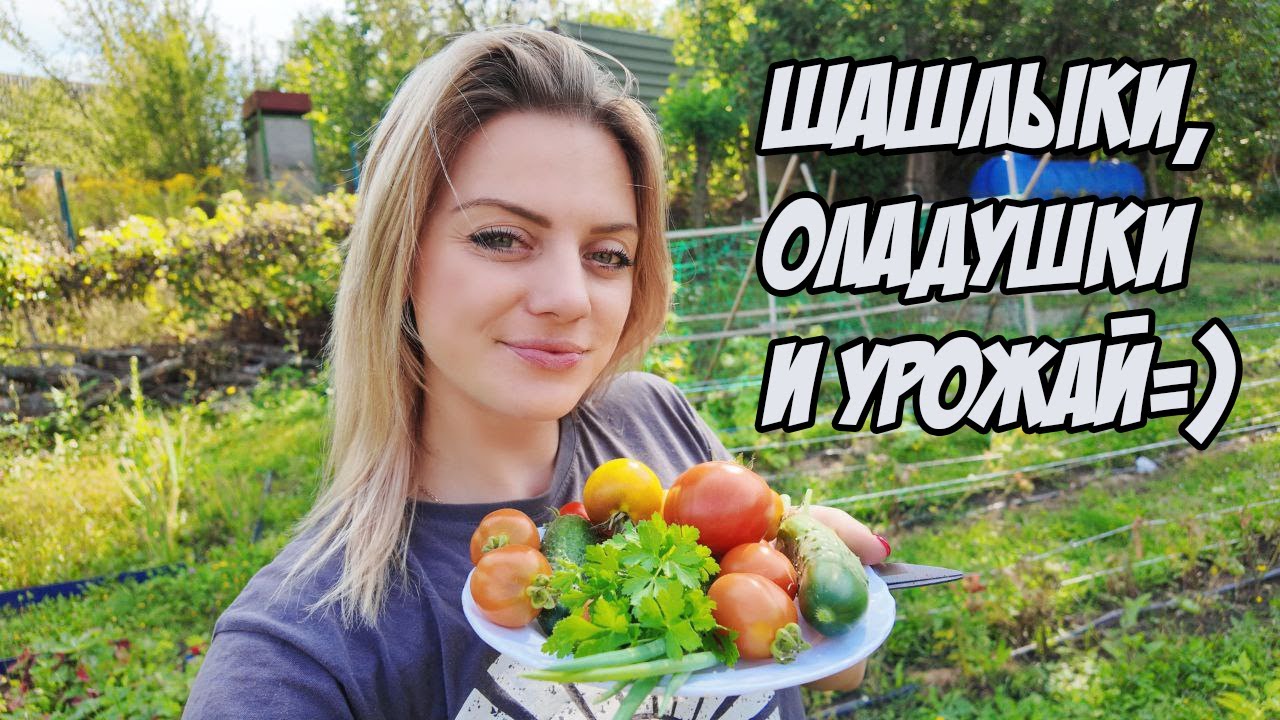 Дачный выходной // Ящик для компоста // Шкодная Муська