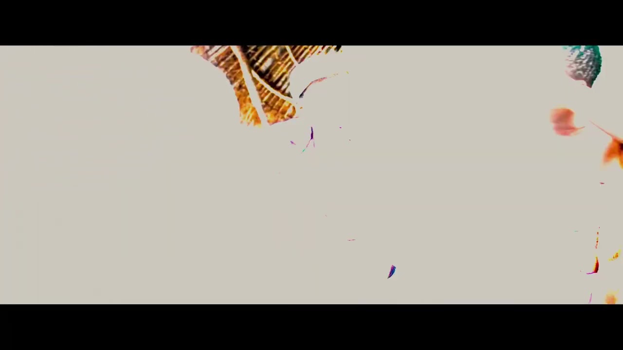dee Major MW Amasamba official video