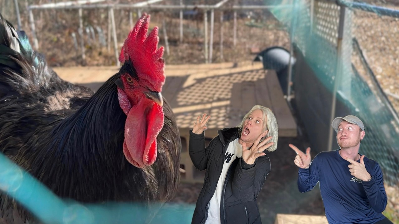 We finally reveal the Danny lore 😳