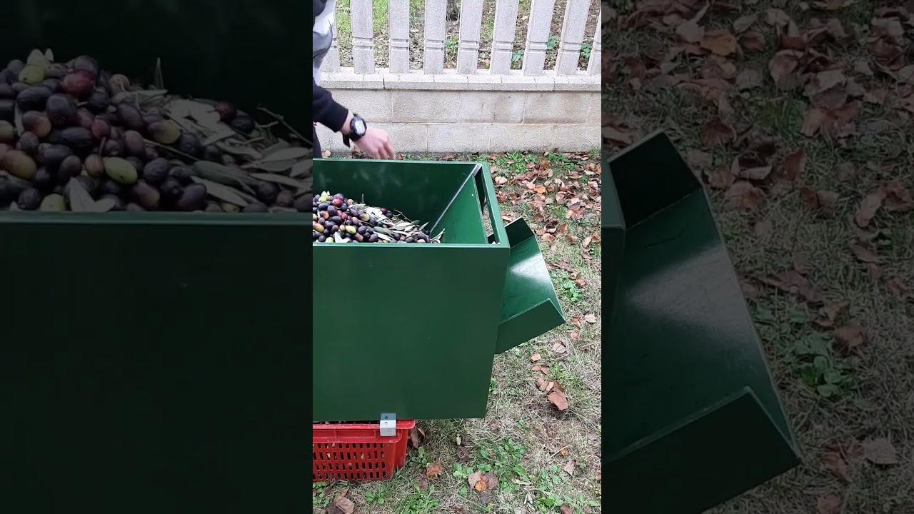 Defogliatrice autocostruita per olive con ventola radiatore auto