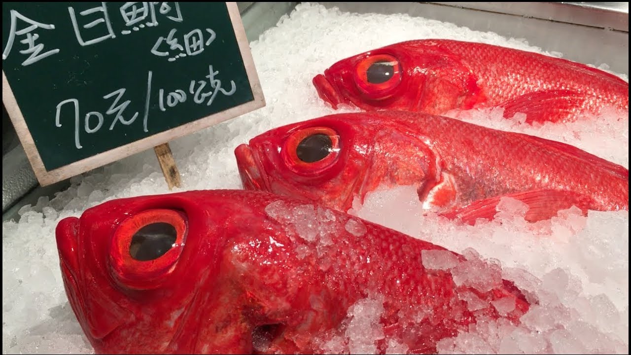 [VLOG]  Very affordable sashimi lunch @ Taipei Fish Market!
