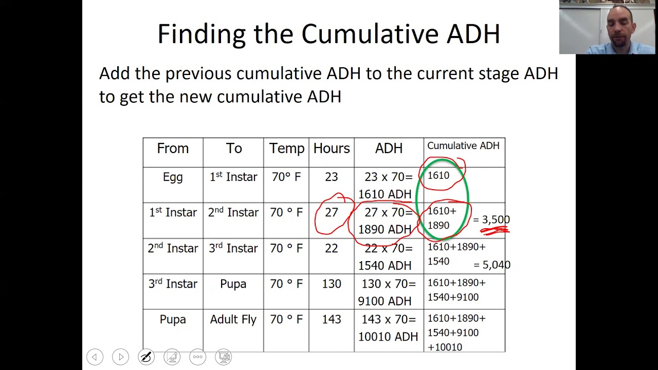 Accumulated Degree Hours Lesson