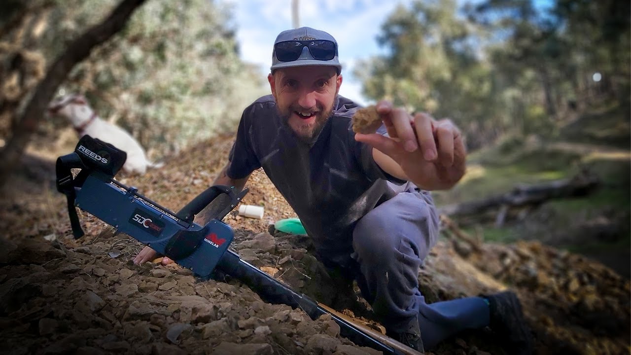 Two Rare Gold Specimens Found with the SDC2300