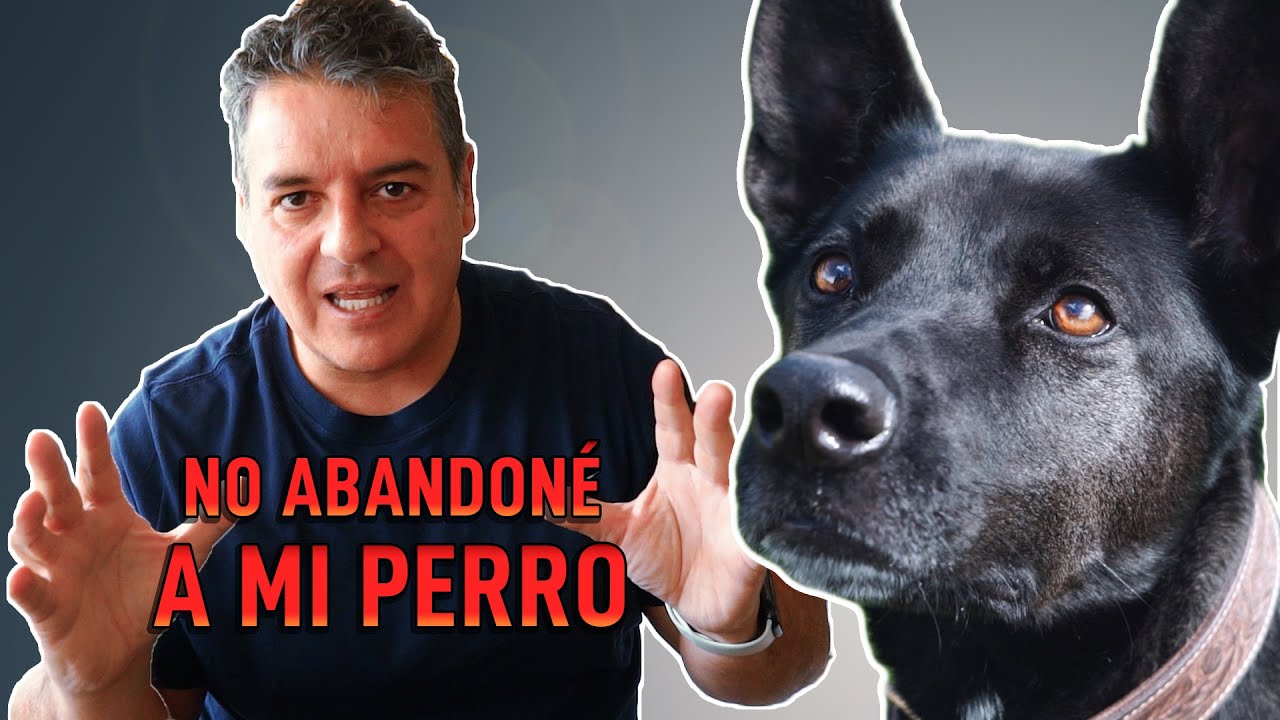 NO ABANDONÉ A MI PERRO