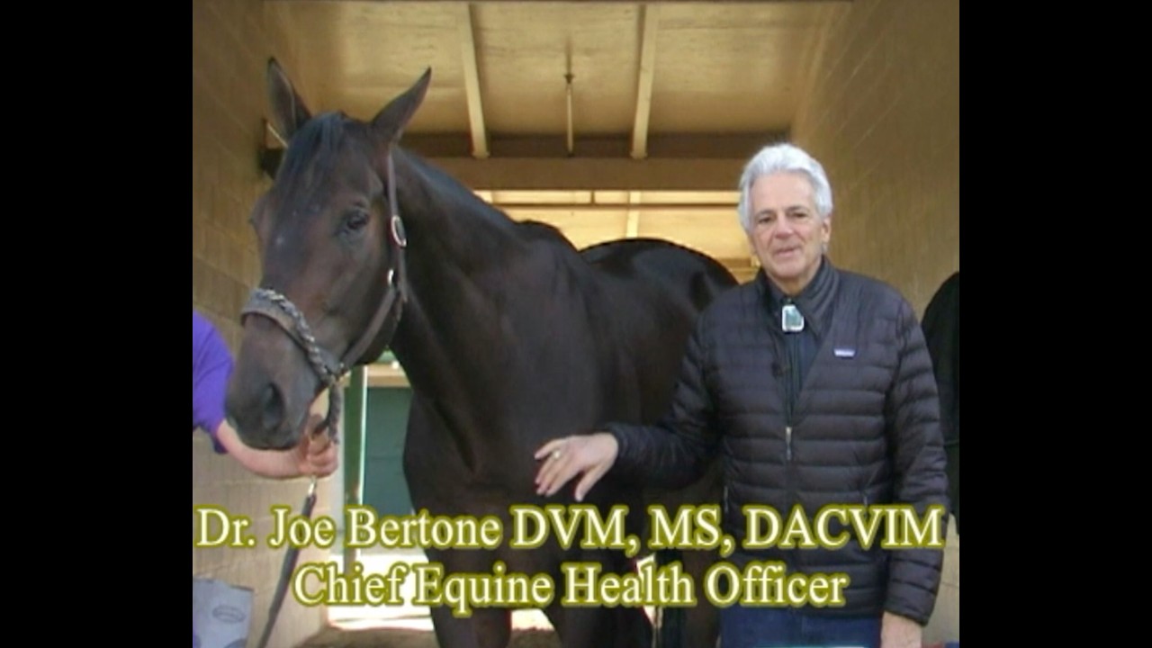 EquineDx - Dr. Joseph Bertone, DVM, MS, DACVIM