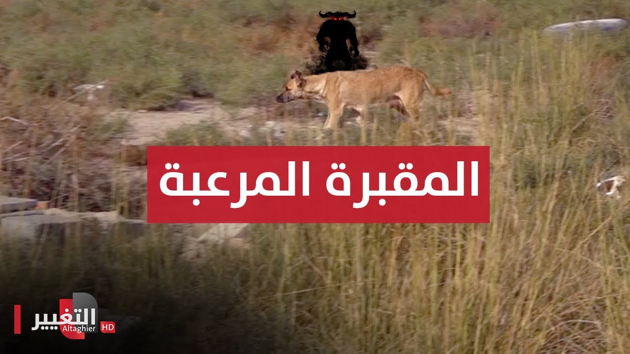 لن تصدق وجود هذه المقبرة في العراق | تقرير