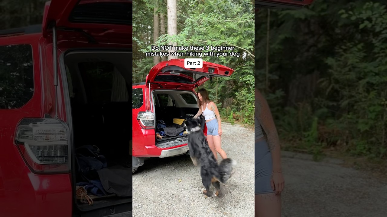 3 beginner mistakes people make hiking with their dogs #hikingdog #hikesafe #dogsafety #dogshorts