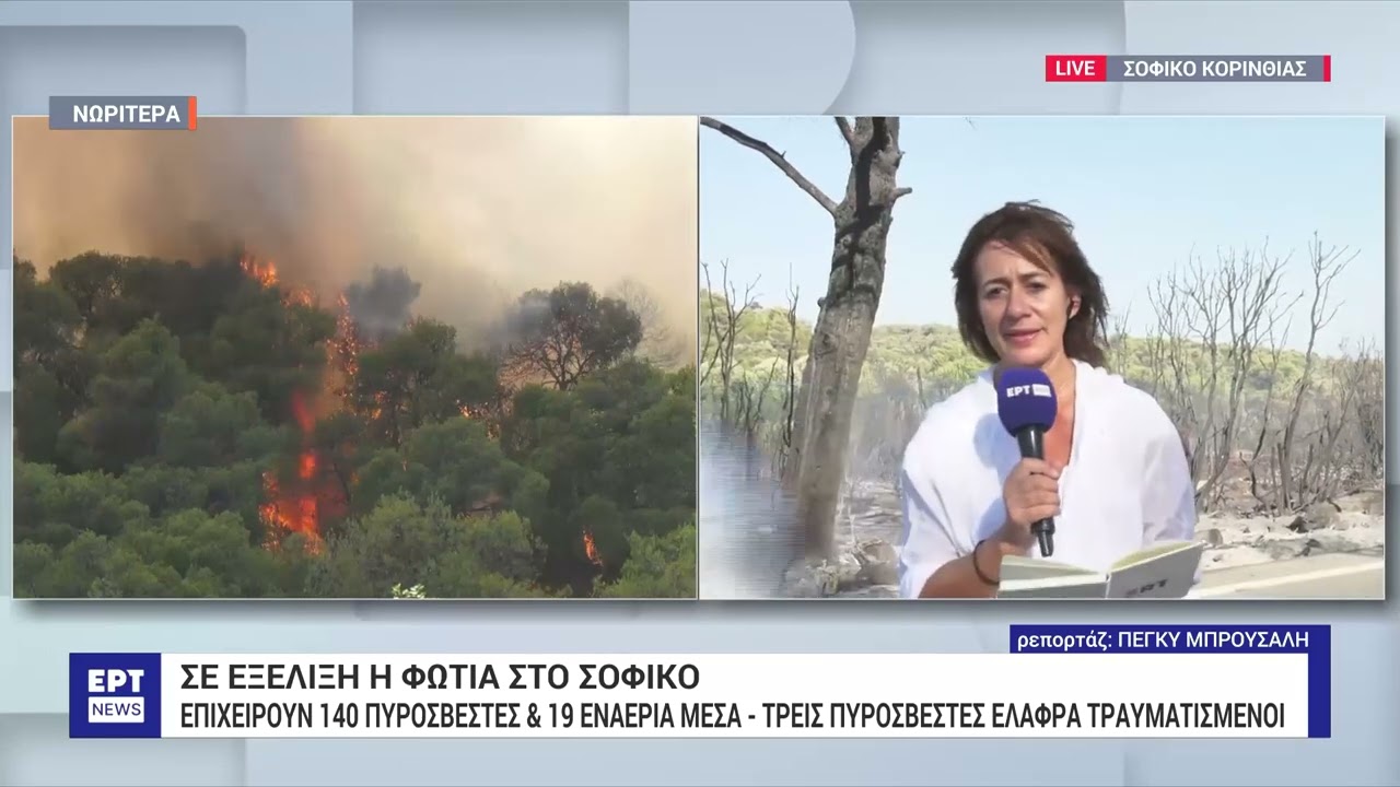 Φωτιά στο Σοφικό: Βελτιωμένη η εικόνα στο πύρινο μέτωπο – Επιχειρούν 22 εναέρια μέσα | 17/7/24 | ΕΡΤ