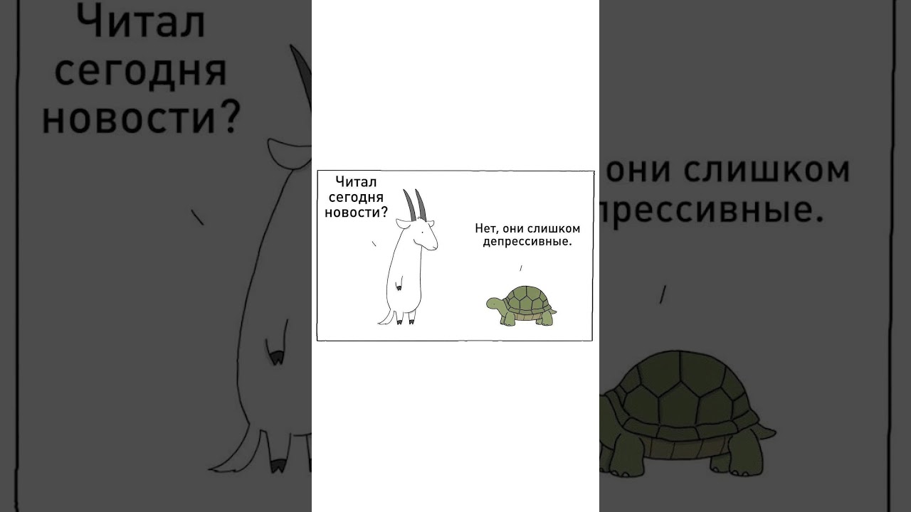 Новости