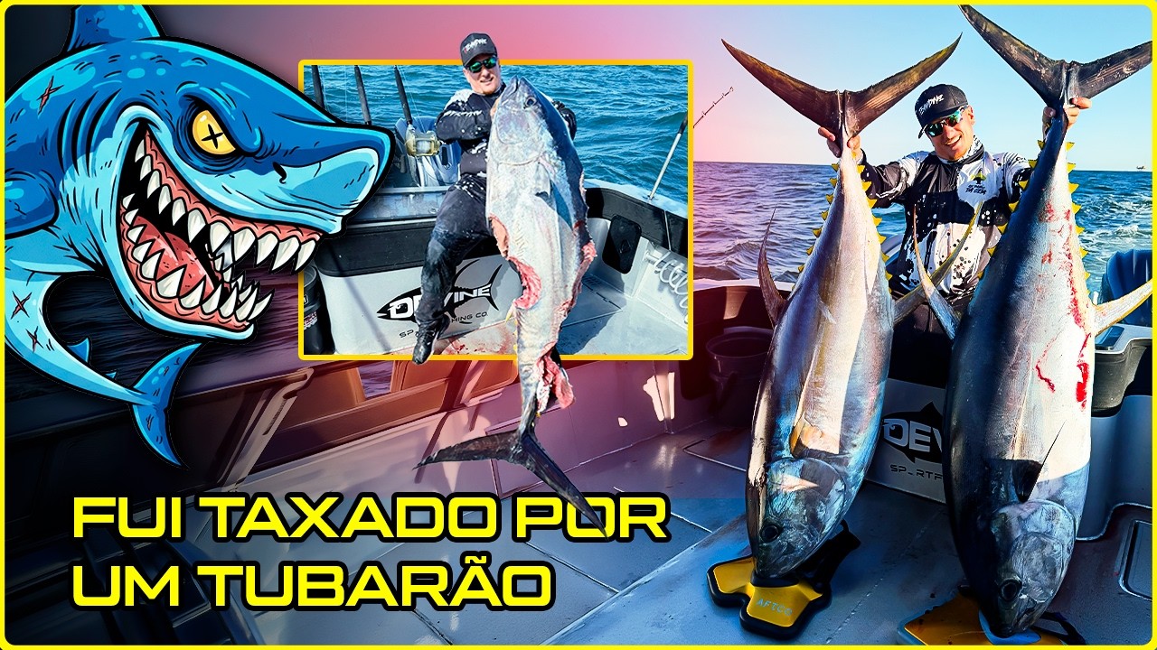 ATUNS GIGANTESCOS! ERA O PEIXE DA VIDA, MAS O TUBARÃO CHEGOU PRIMEIRO! [DINIZPESCA]