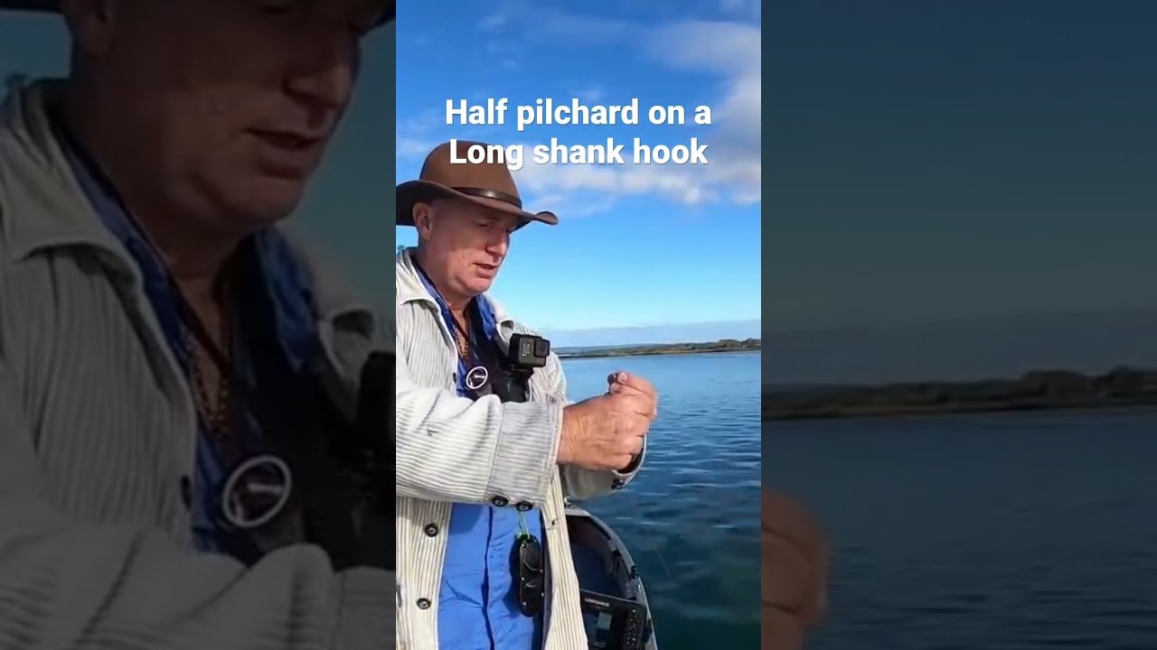 Baiting a half pilchard on a long shank hook.