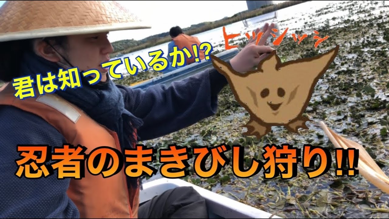 【君は知っているか？】忍者のまきびし狩り‼︎（前編）