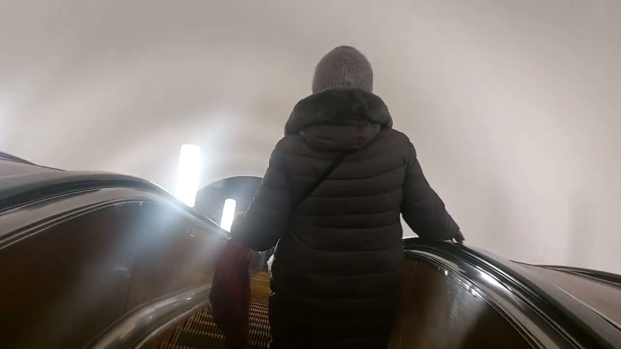 красота