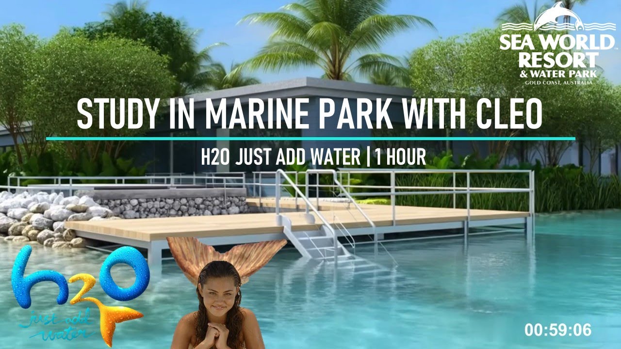 Study in Marine Park with Cleo | H2O Just Add Water | 1 Hour 🌊🧜‍♀️
